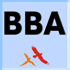 BBA College in Ranchi, Top 10 BBA Colleges in Ranchi, List Of Best BBA Institutes in Ranchi, BBA Program in Ranchi, Best College for BBA in Ranchi, Jharkhand